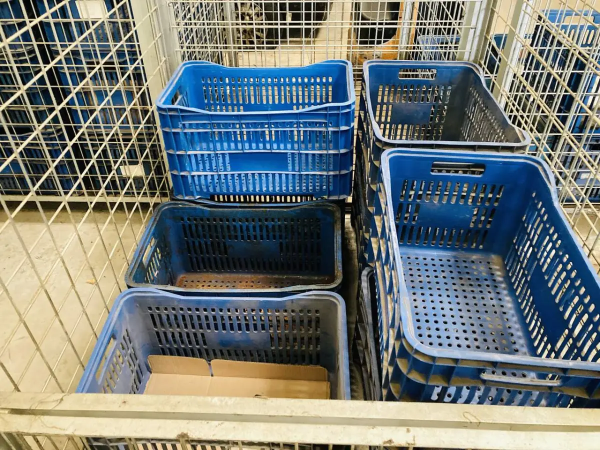 LOTE 007 - Bens diversos