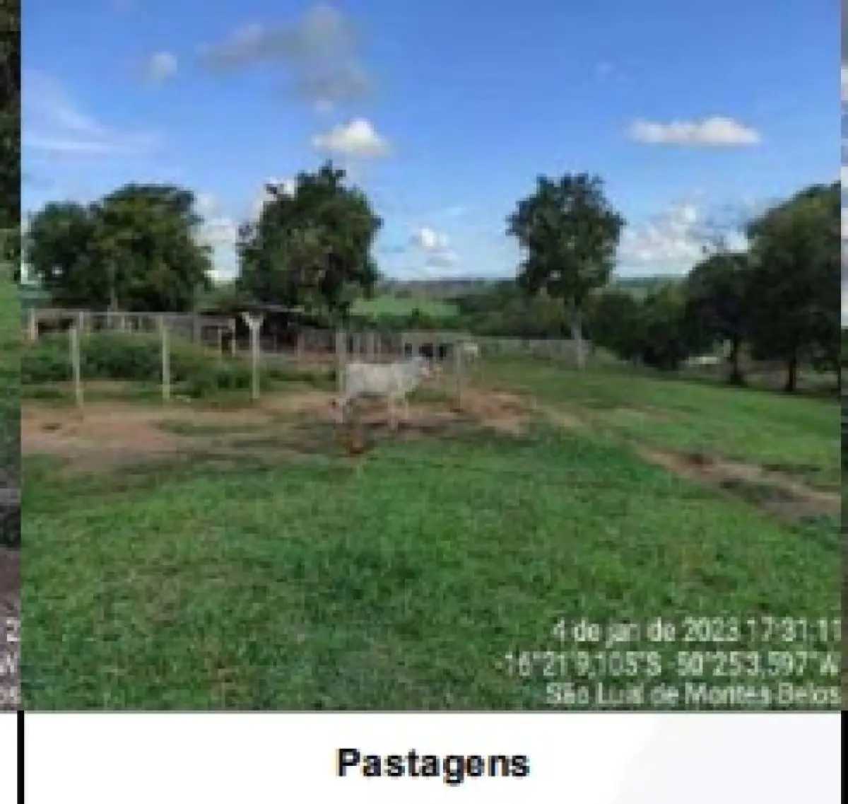 LOTE 001 - UMA FAZENDA EM GOIAS COM 43,2048 HECTARES EM SÃO LUIS DE MONTES BELOS