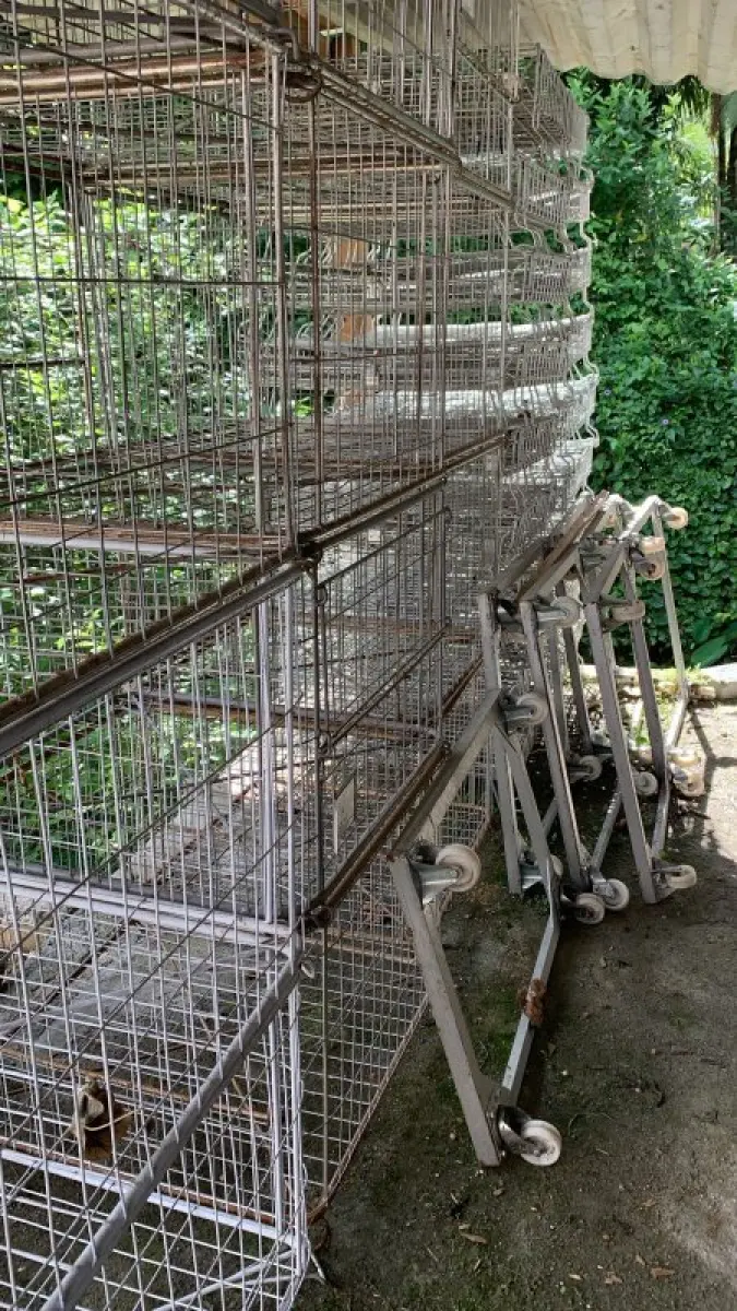 LOTE 000 - Maquinas de costura e gaiolas