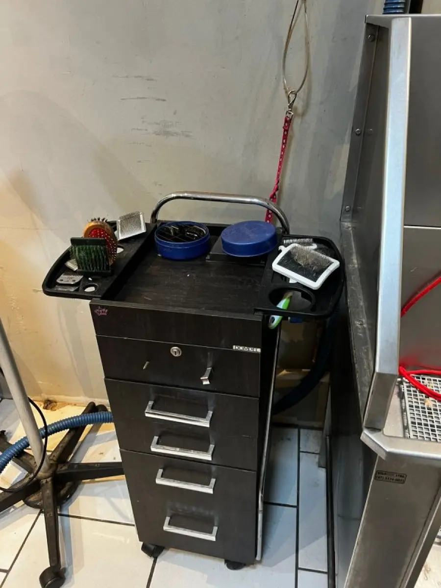 LOTE 001 - Loja agropecuária completa (toda a loja)