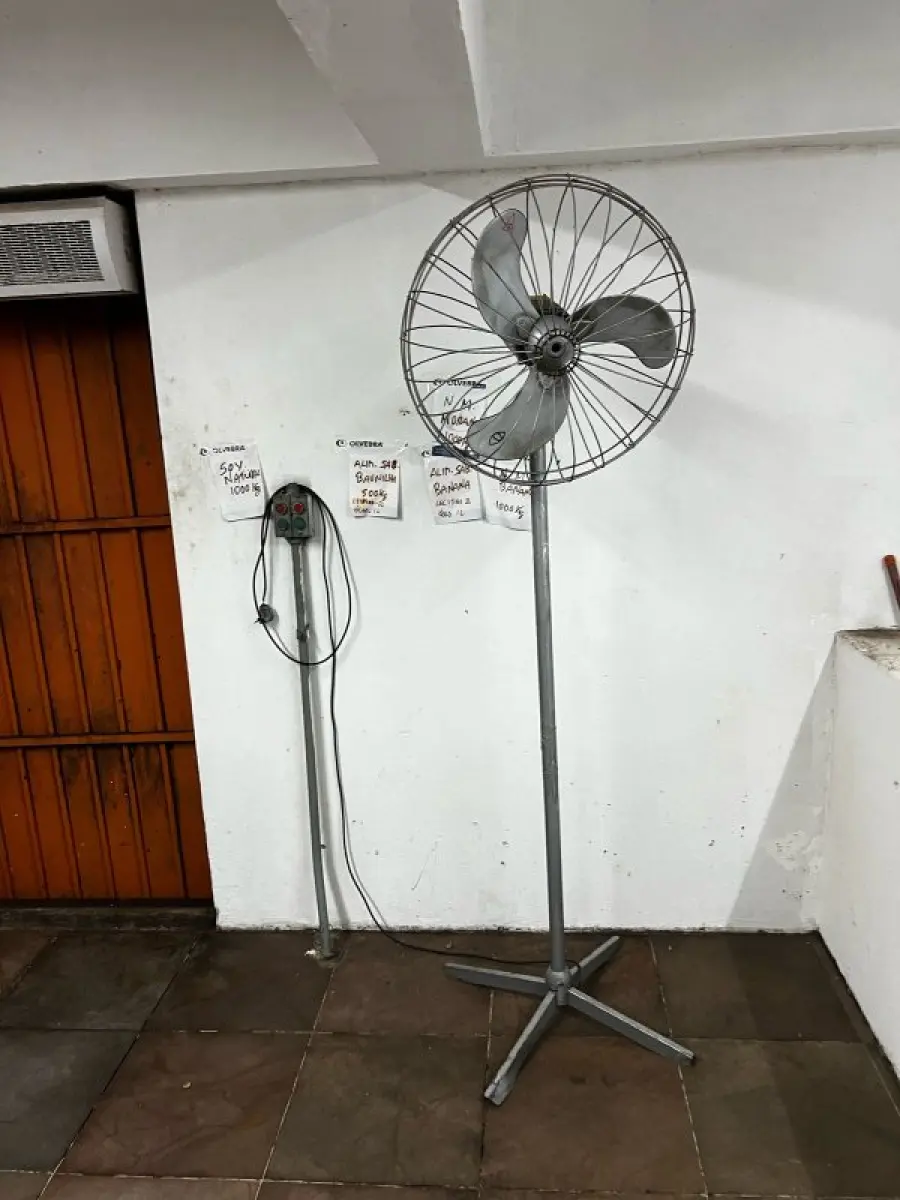 LOTE 019 - Achocolatado