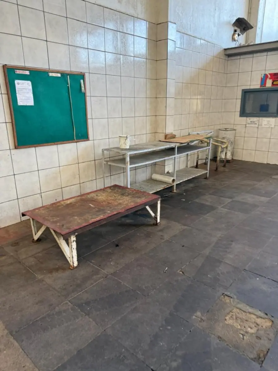 LOTE 012 - Proteína