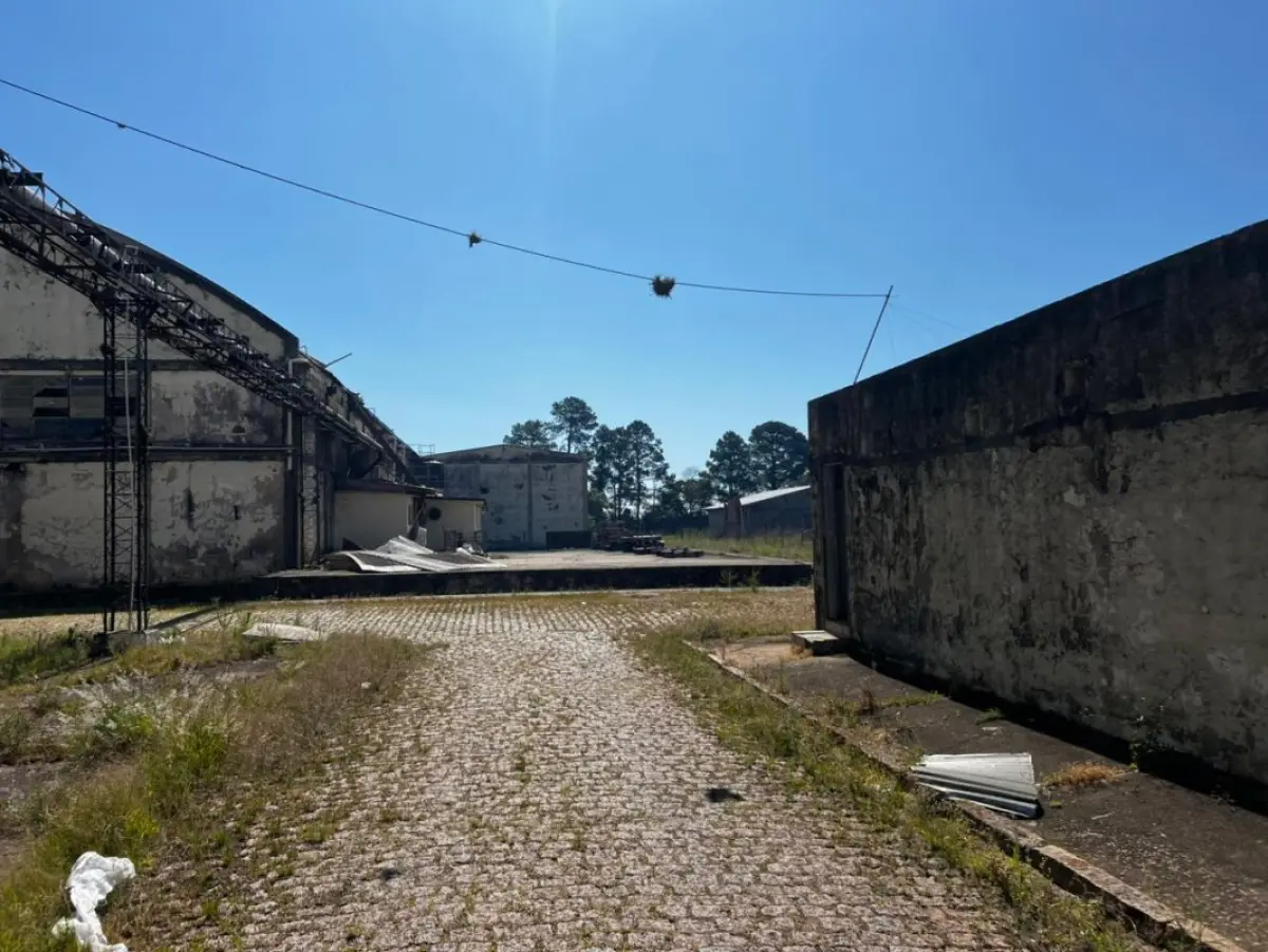 LOTE 001 - Uma área de terras com 39.353,50m² - Uma fração de terras, situada à margem da BR-116 com 77.925m²
