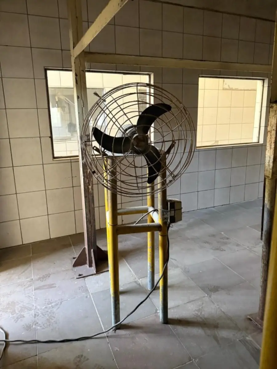 LOTE 012 - Proteína