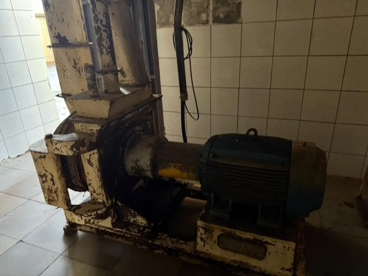 LOTE 012 - Proteína