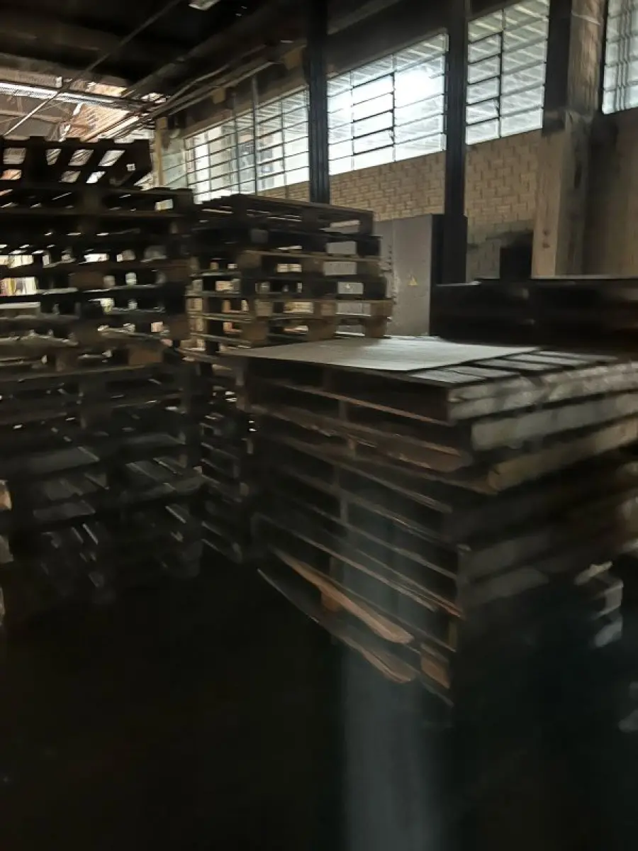 LOTE 018 - Derivados