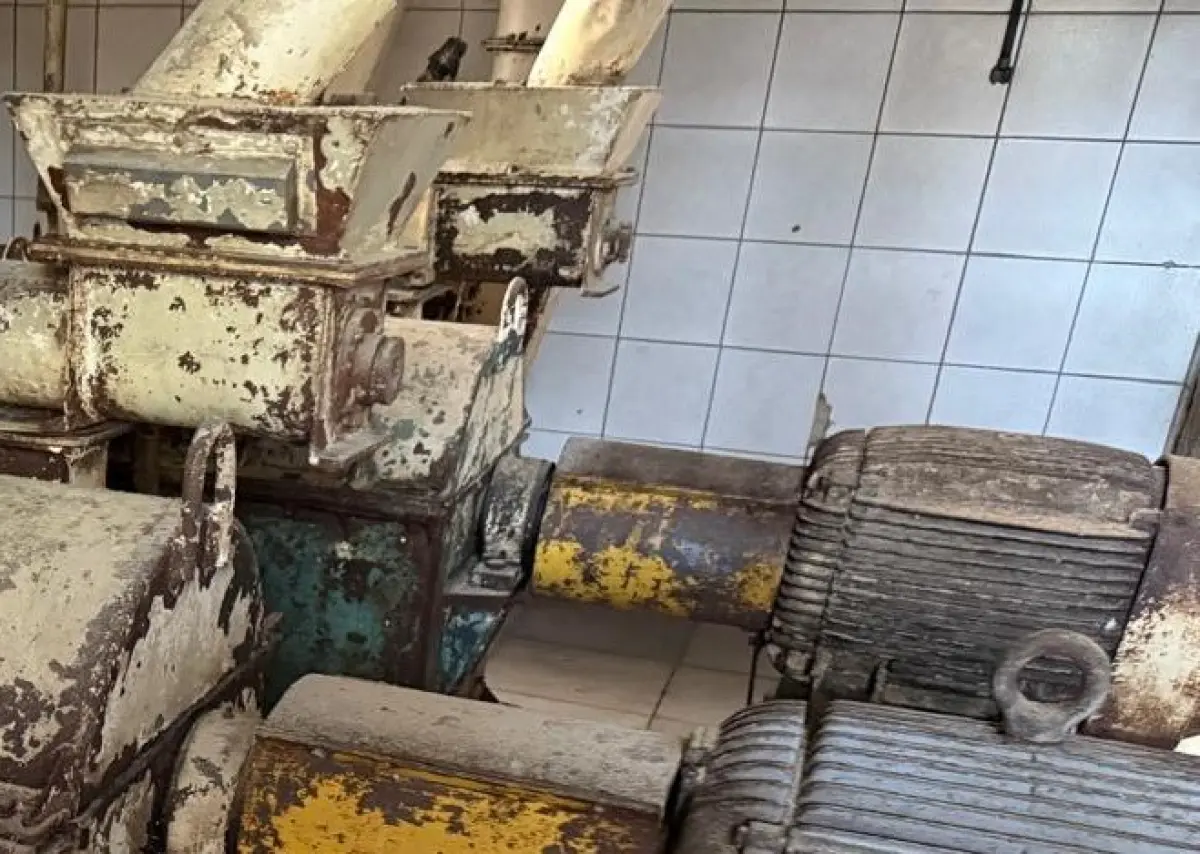 LOTE 012 - Proteína