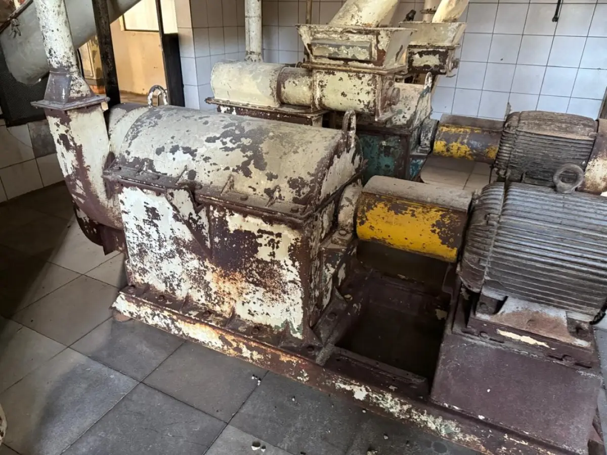 LOTE 012 - Proteína