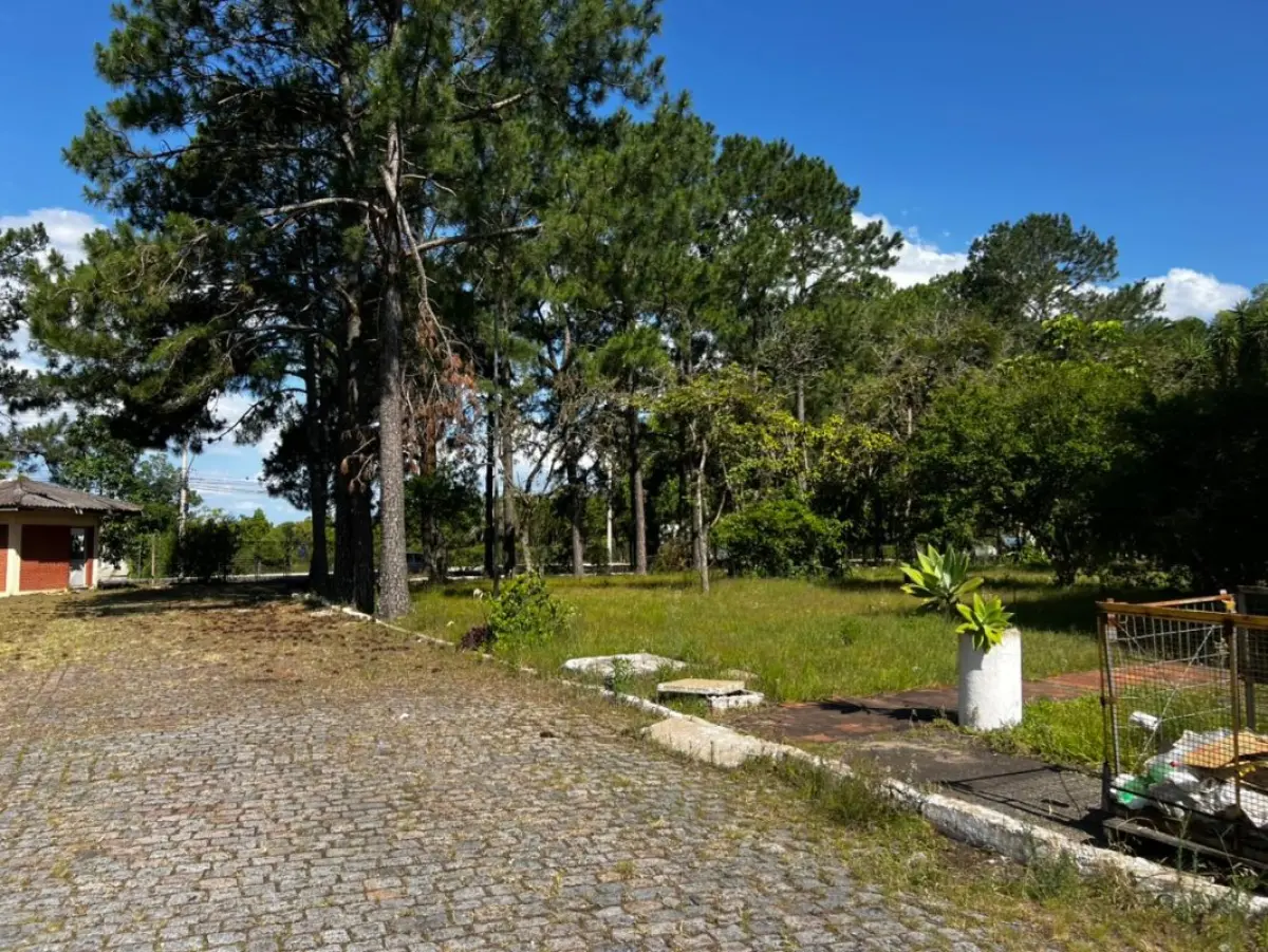 LOTE 001 - Uma área de terras com 39.353,50m² - Uma fração de terras, situada à margem da BR-116 com 77.925m²