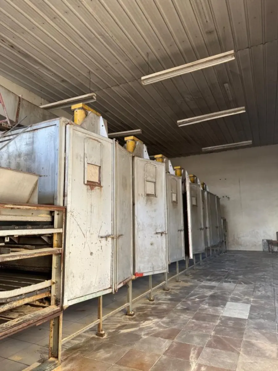 LOTE 012 - Proteína