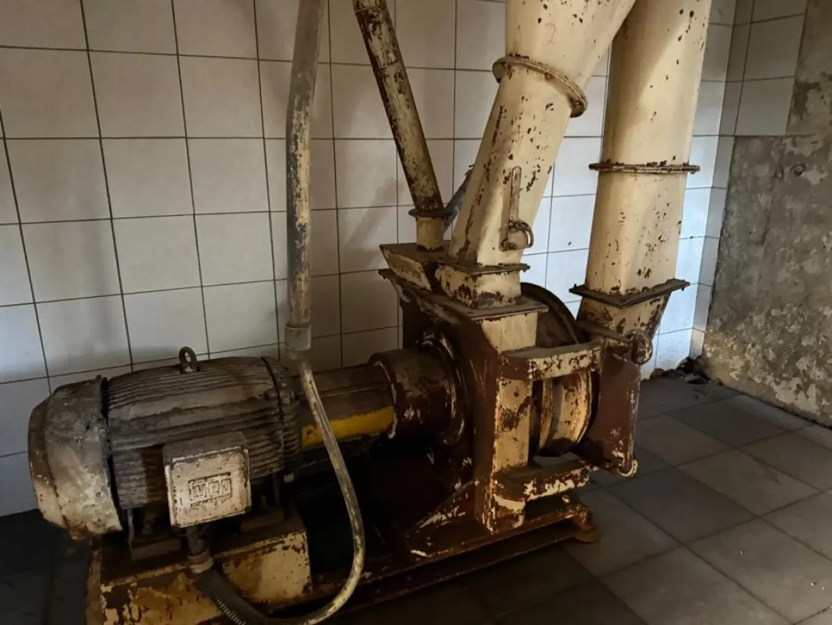 LOTE 012 - Proteína