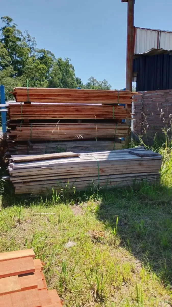 LOTE 000 - Dois metros e meio cúbicos de madeira eucalipto de várias bitolas e vários tamanhos.