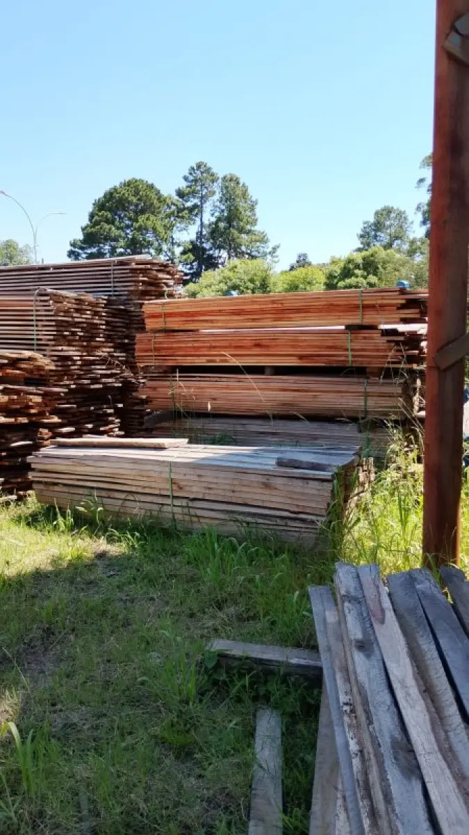LOTE 000 - Dois metros e meio cúbicos de madeira eucalipto de várias bitolas e vários tamanhos.