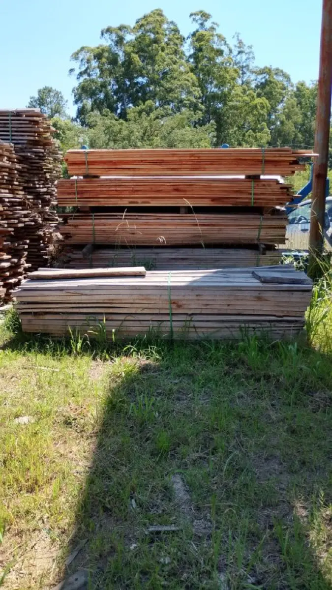 LOTE 000 - Dois metros e meio cúbicos de madeira eucalipto de várias bitolas e vários tamanhos.