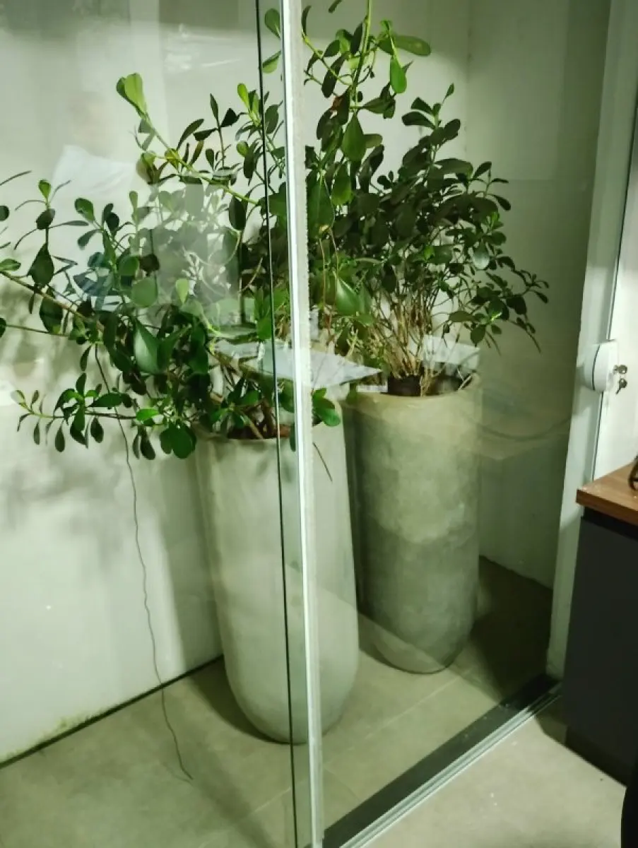 LOTE 134 - 4 Vaso de Cimento com planta