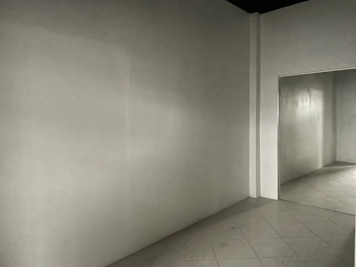 LOTE 000 - O prédio nºs 212 e 220 da Rua Hoffmann e o respectivo terreno medindo 15,50m de frente ao sudoeste, a dita rua; ao noroeste, mede 41,80m de extensão da frente ao fundo