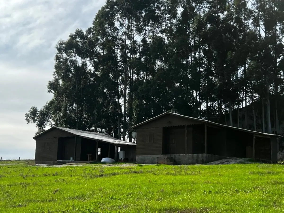 Cacapava do Sul, RS
