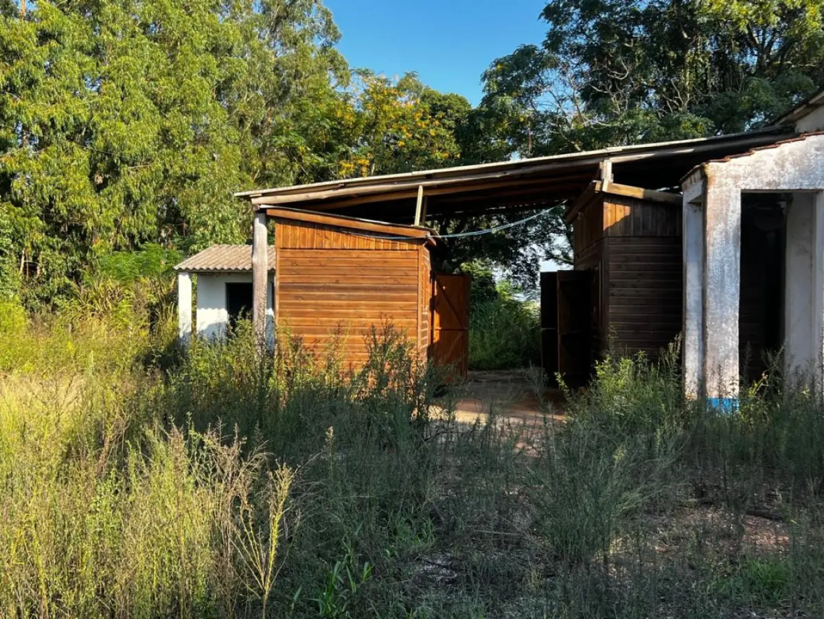LOTE 170