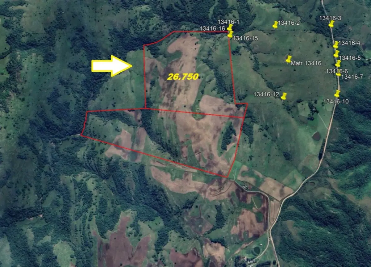 LOTE 005