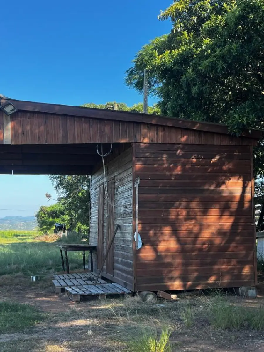 LOTE 169