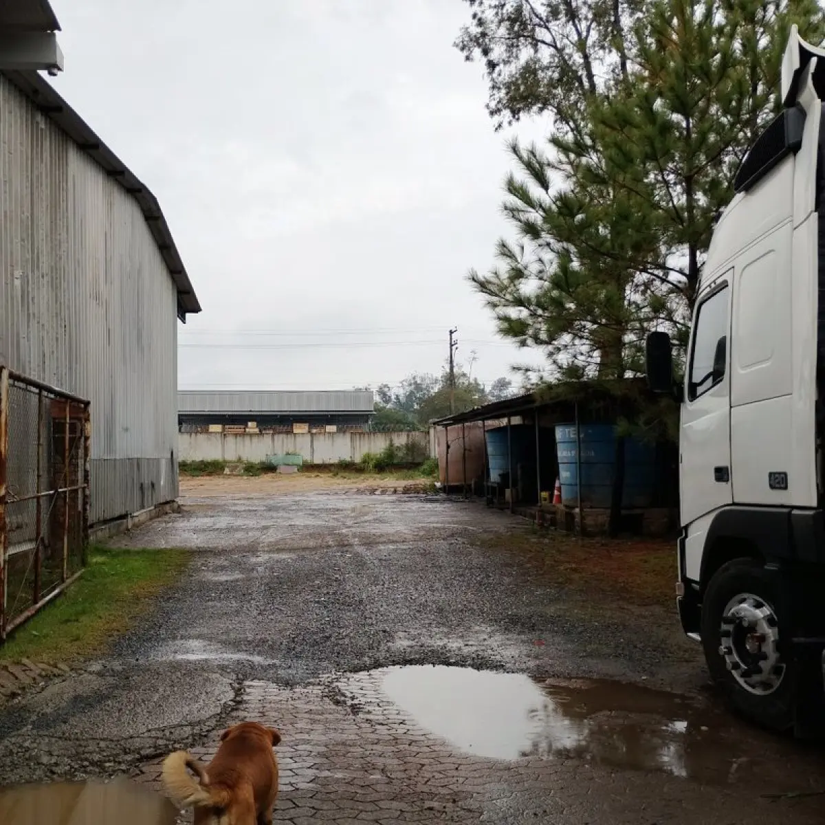 LOTE 001 - Parte Sul dos Lotes Urbanos nºs 11 e 12, da Quadra I, na Rua Juscelino Kubitschek de Oliveira, do Parque Industrial Canoas