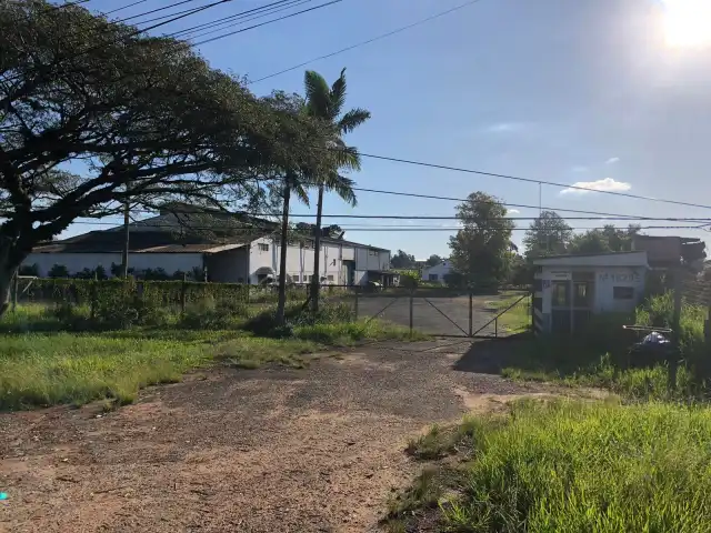 LEILÃO DE 15.000m2 FRENTE BR116 EM GUAIBA - PAVILHÃO E ESTRUTURA PARA  BENEFICIAMENTO DE GRÃOS