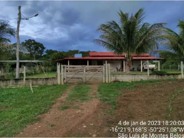 LEILÃO DE FAZENDA EM GOIAS 43,2 HA
