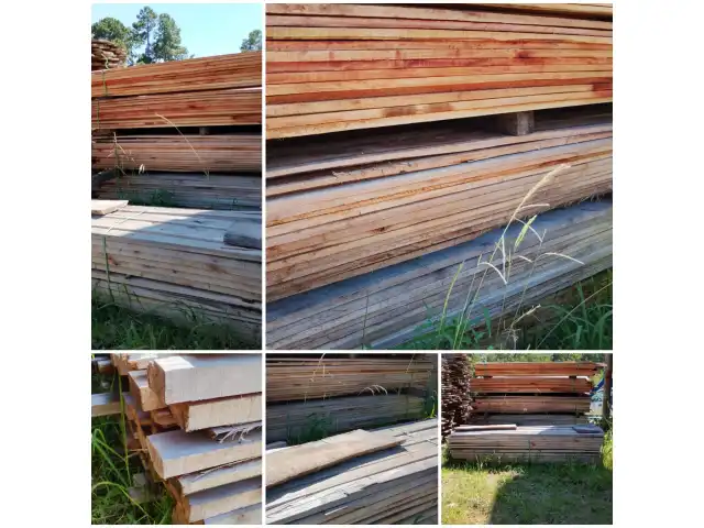 LEILÃO DE MADEIRA EUCALIPTO