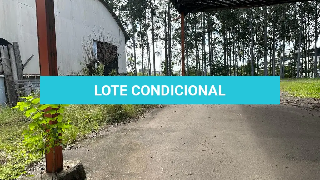 LOTE 000