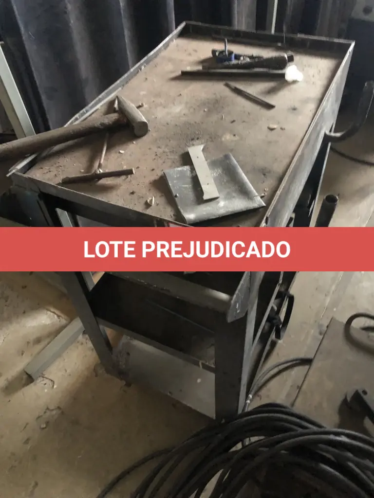 LOTE 533