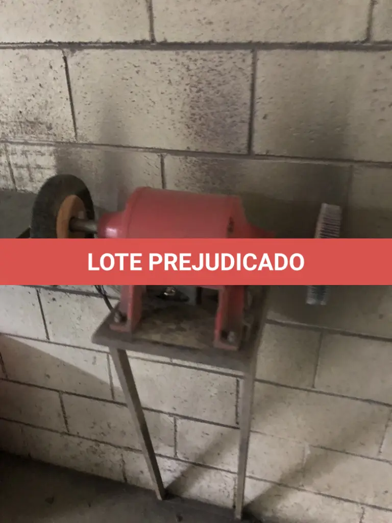 LOTE 560