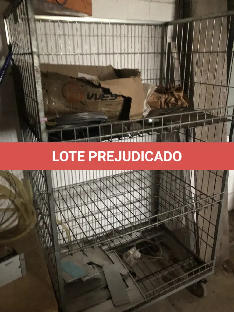 LOTE 539