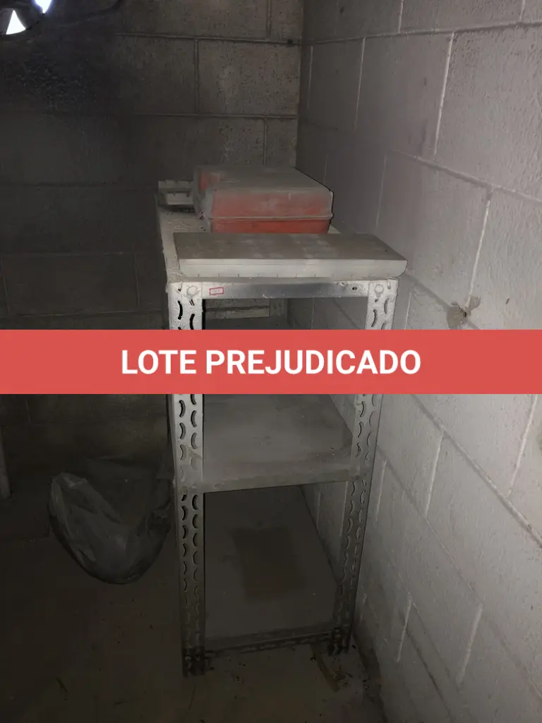 LOTE 543