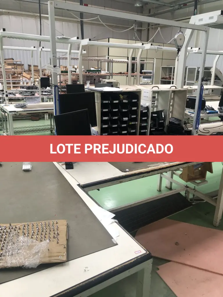LOTE 419