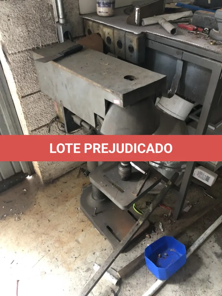 LOTE 515