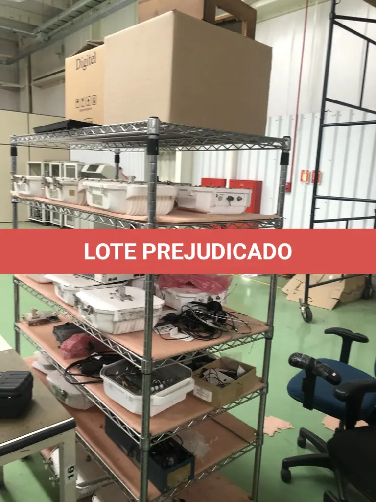 LOTE 423