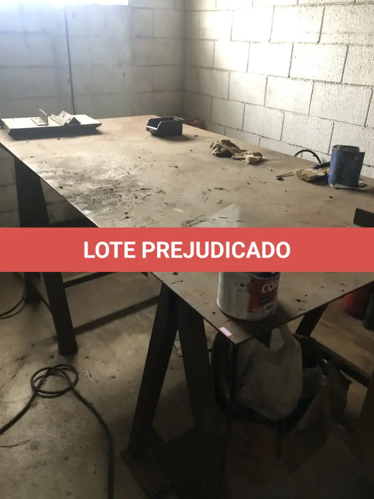 LOTE 536