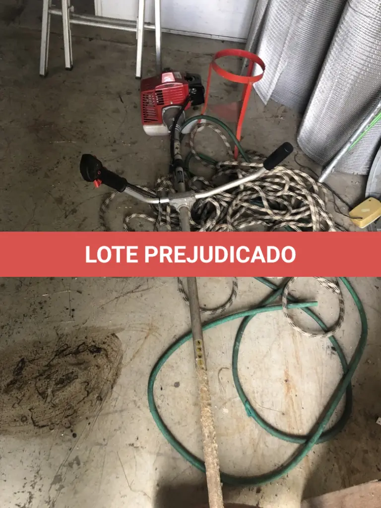 LOTE 513