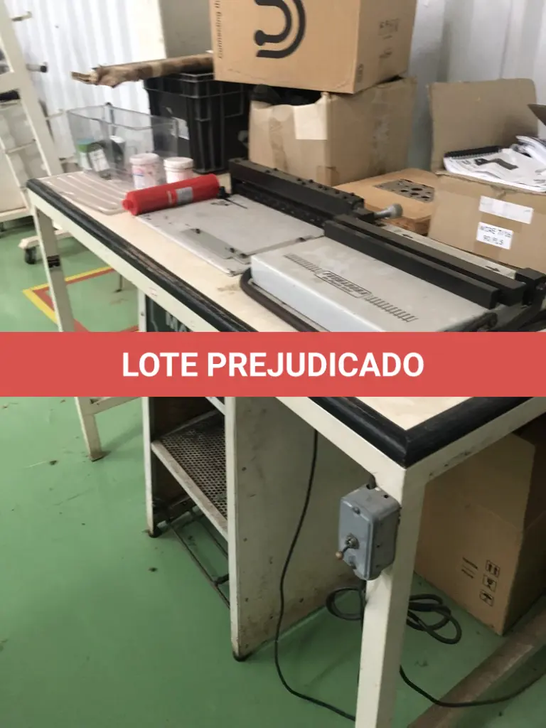 LOTE 493