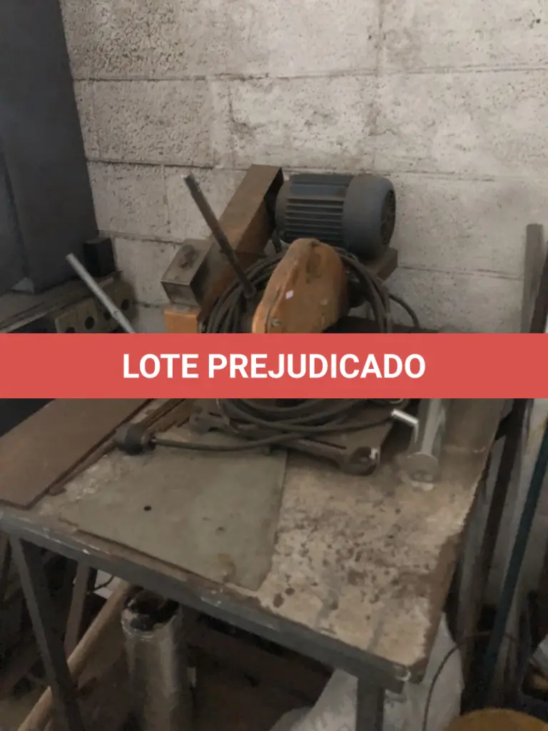 LOTE 519