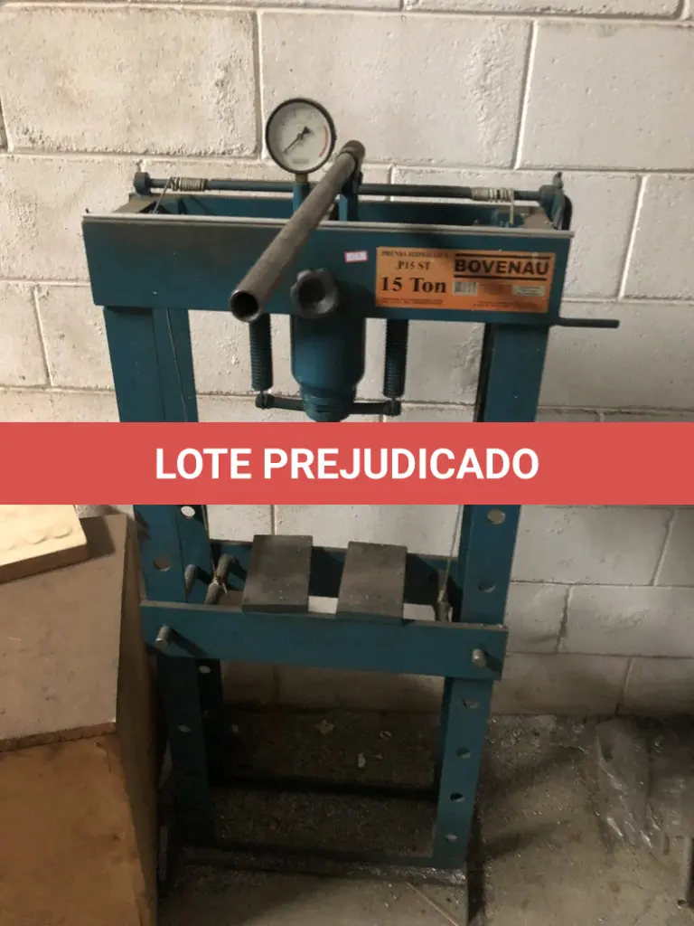 LOTE 555