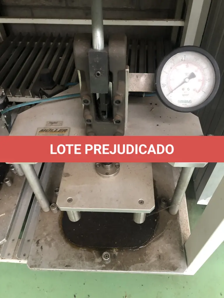LOTE 498