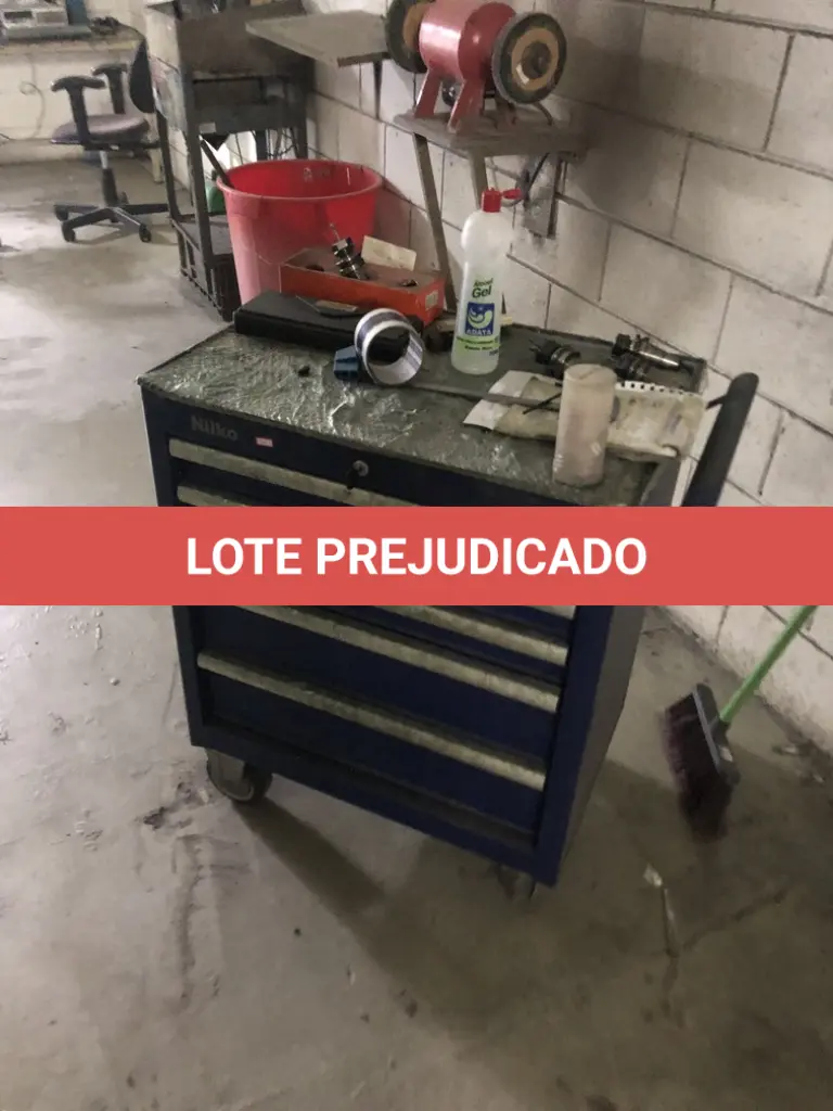 LOTE 559