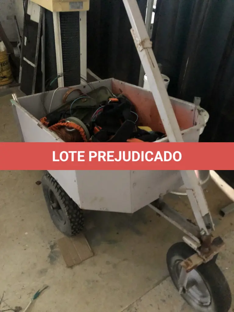 LOTE 524
