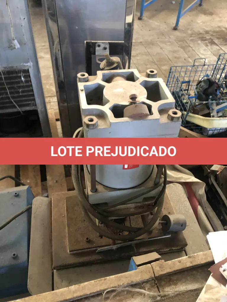 LOTE 011