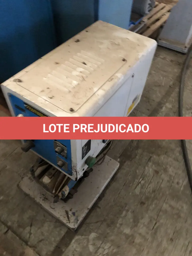LOTE 100