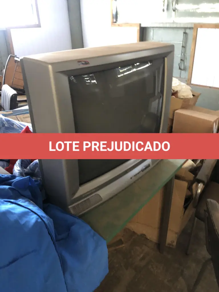 LOTE 142