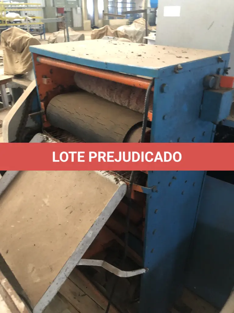 LOTE 101