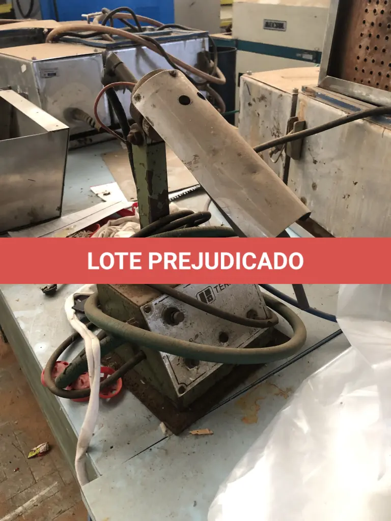 LOTE 113