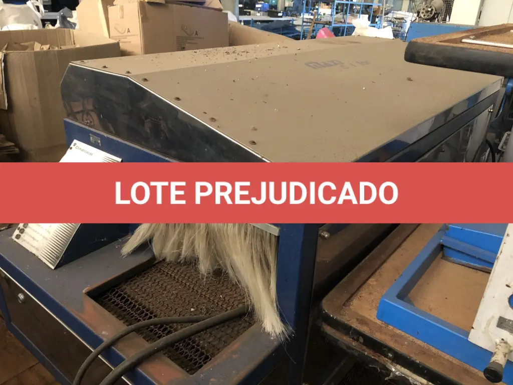 LOTE 161